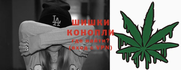 Альфа ПВП Аркадак